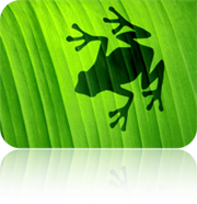 1214.png