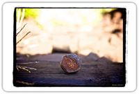 IMG_0217_1.png